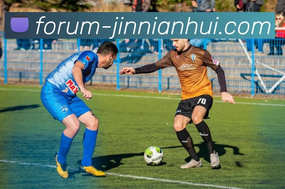 金年会APP 高清赛事图